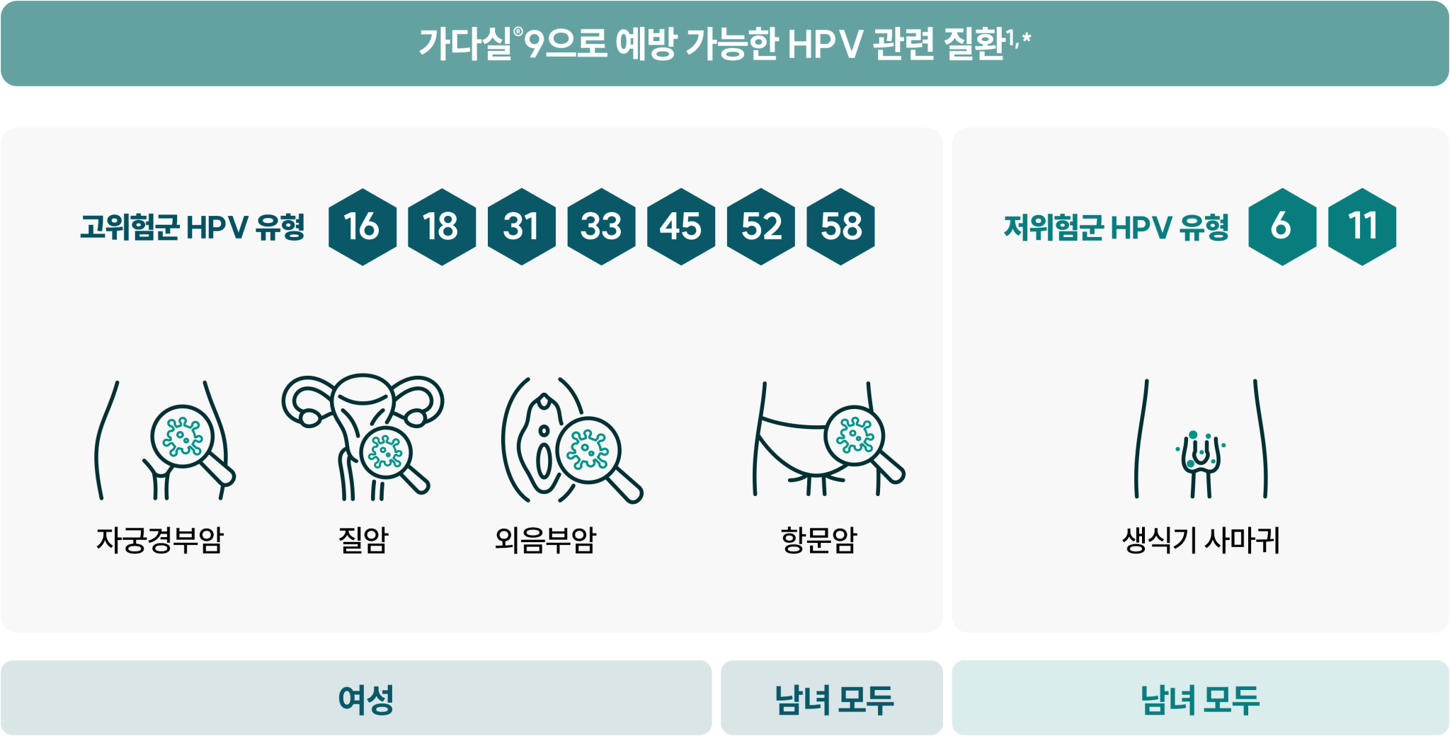 가다실9으로 예방 가능한 HPV 관련 질환: 고위험군 HPV 16·18·31·33·45·52·58형과 관련된 여성의 자궁경부암·질암·외음부암 및 남녀 모두의 항문암, 저위험군 HPV 6·11형과 관련된 남녀 모두의 생식기 사마귀.¹,*