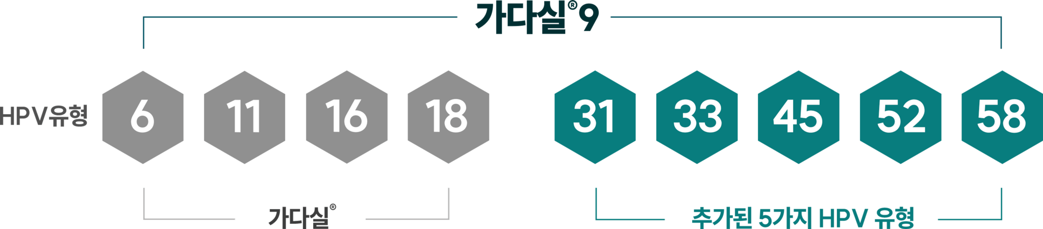 가다실9에 포함된 HPV 유형: HPV 6·11·16·18형과 추가된 31·33·45·52·58형을 포함한 총 9가지 HPV 유형.